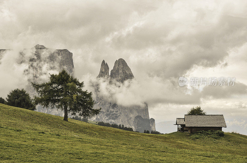 山脉的景色，Alpe di Siusi(西利亚2563米)南蒂罗尔-白云石-意大利。南蒂罗尔是意大利北部的一个自治省。